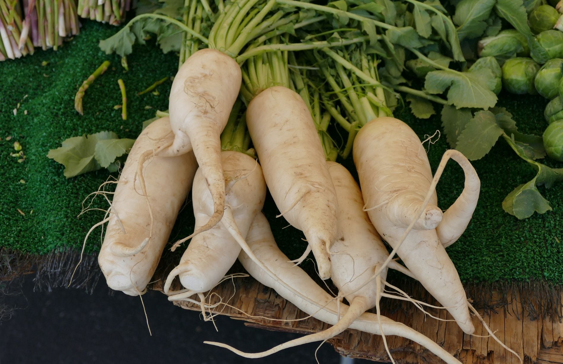 A bunch of washed parsnips newly harvested from the vegetable garden