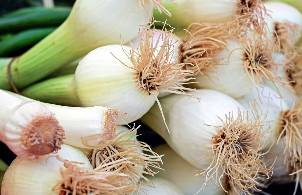 Onion domain and kingdom