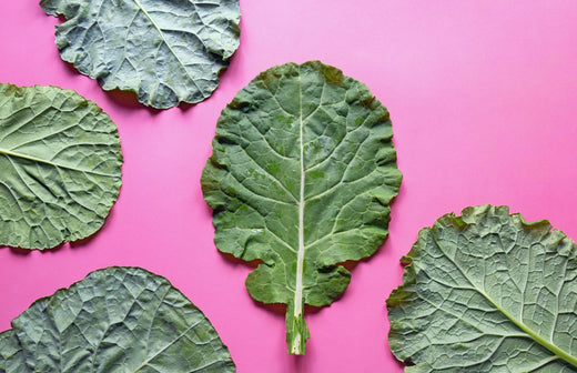 How to Grow Collard Greens (aka Spring Greens in the UK)