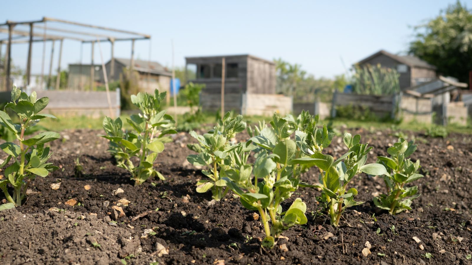 How to get an Allotment - tips & tricks