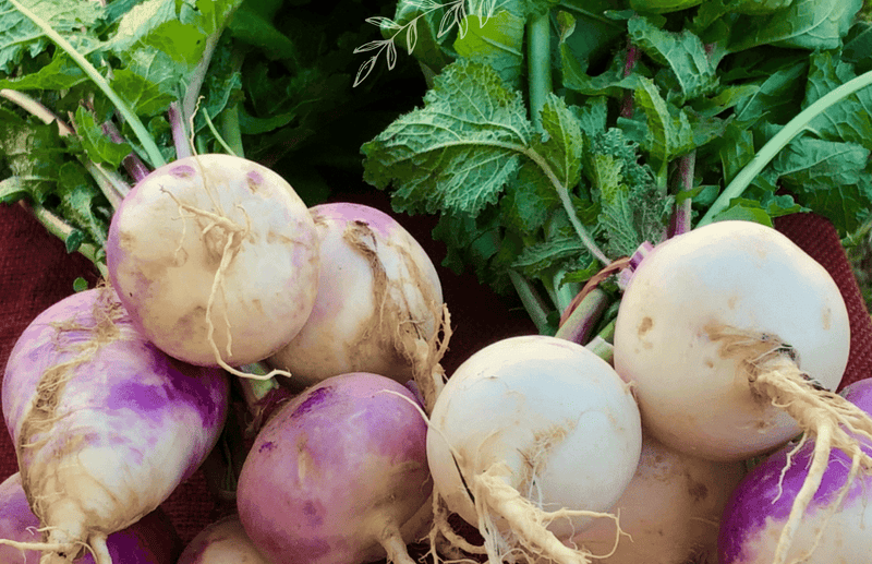 July Planting: Fruit and vegetables to grow in July