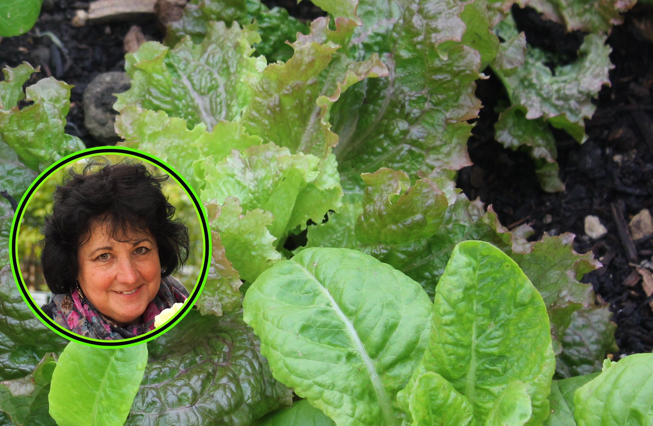 Pippa Greenwood expert gardening advice August