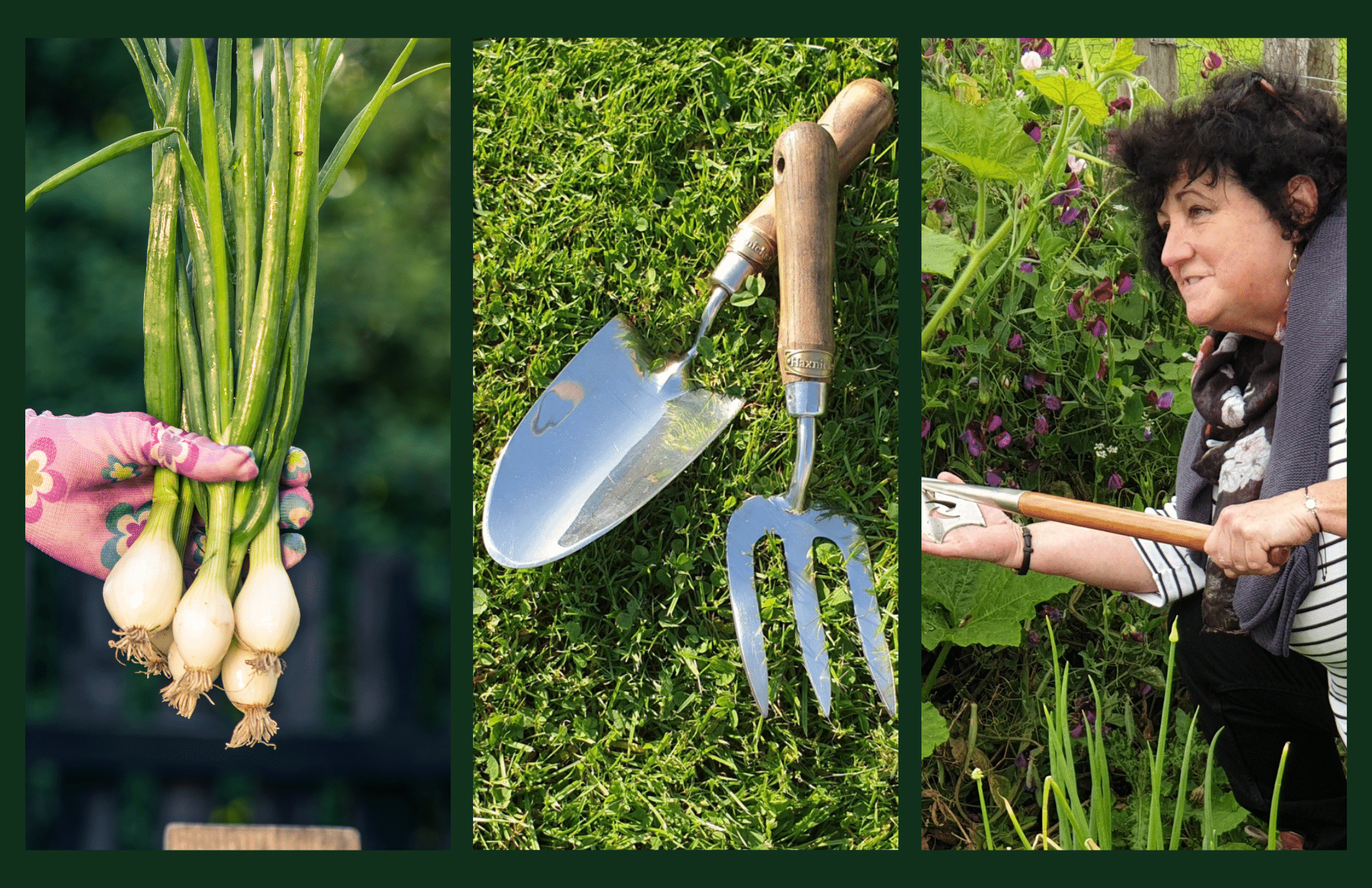 Pippa Greenwood: What to Plant in March