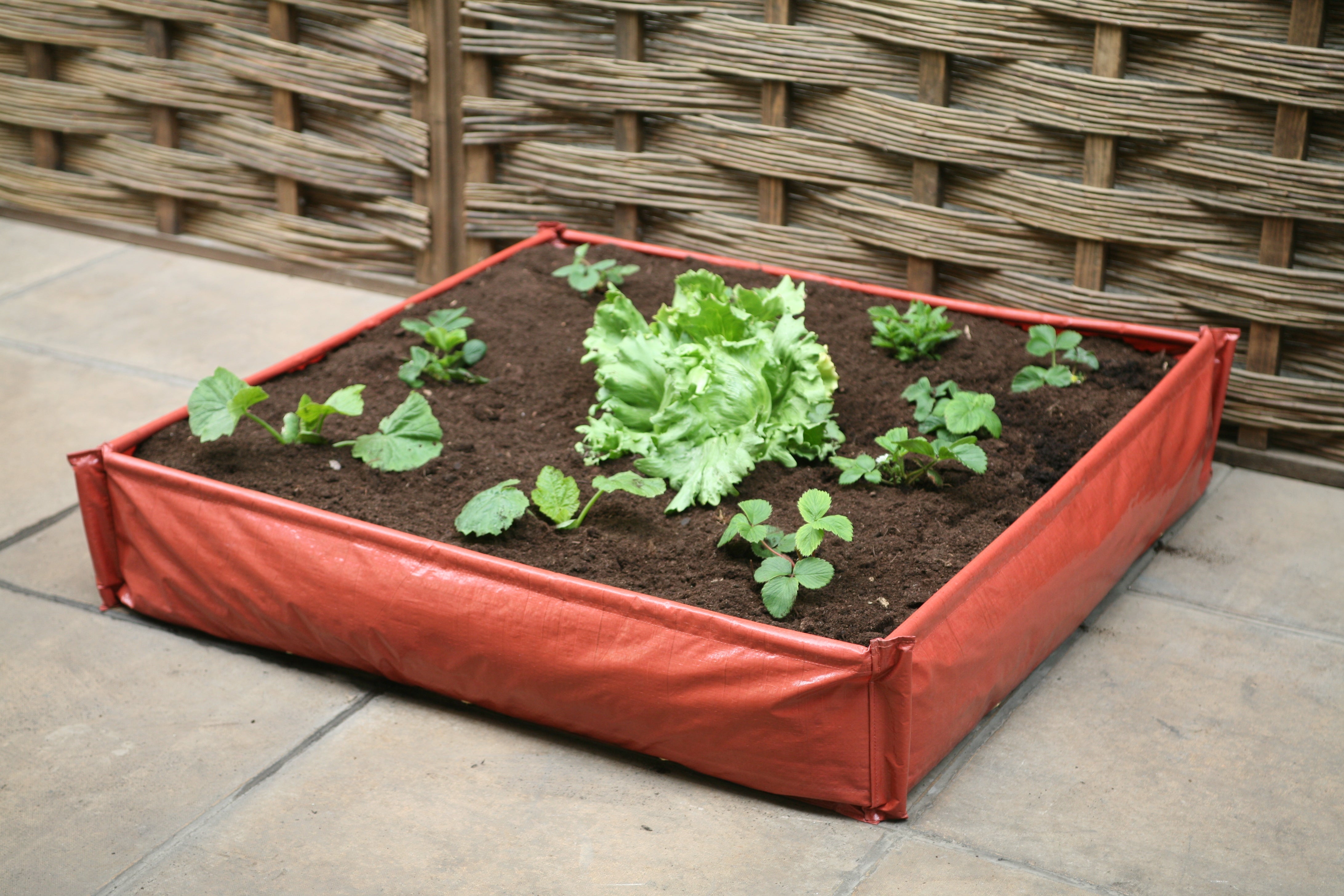 Product Bite: Instant Raised Bed Patio Planter’s