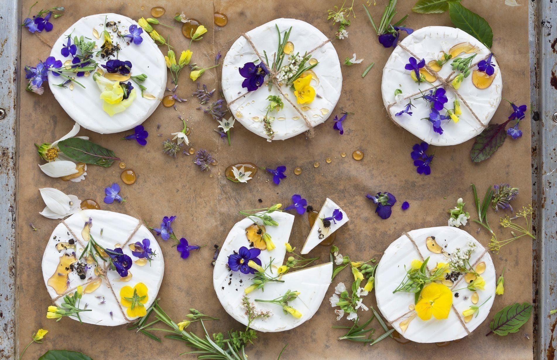 Top 5 Edible Flowers You Can Grow in Containers