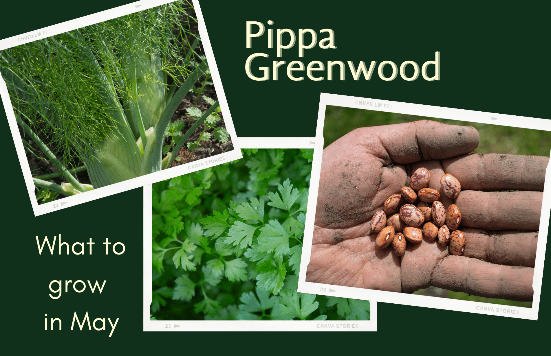 Pippa Greenwood: What to Sow in May in your garden