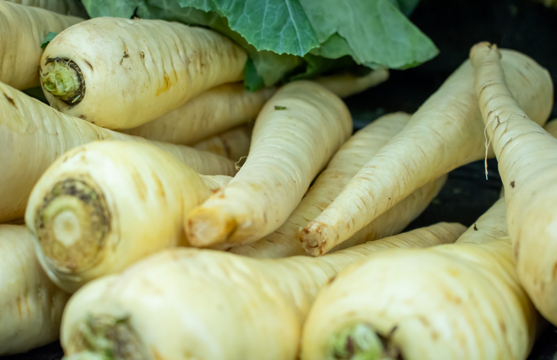 Grow at Home parsnips - how to grow perfect parsnips