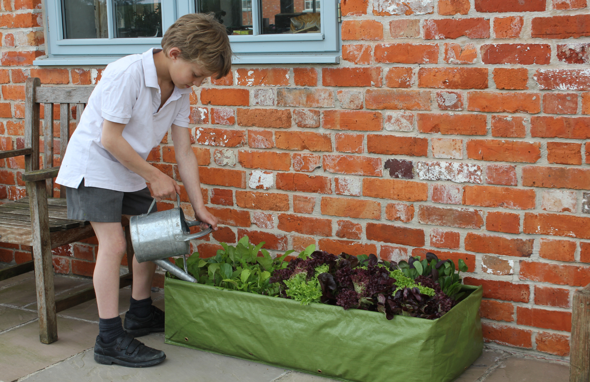 Product Bite: Multi-purpose Growbag Planter