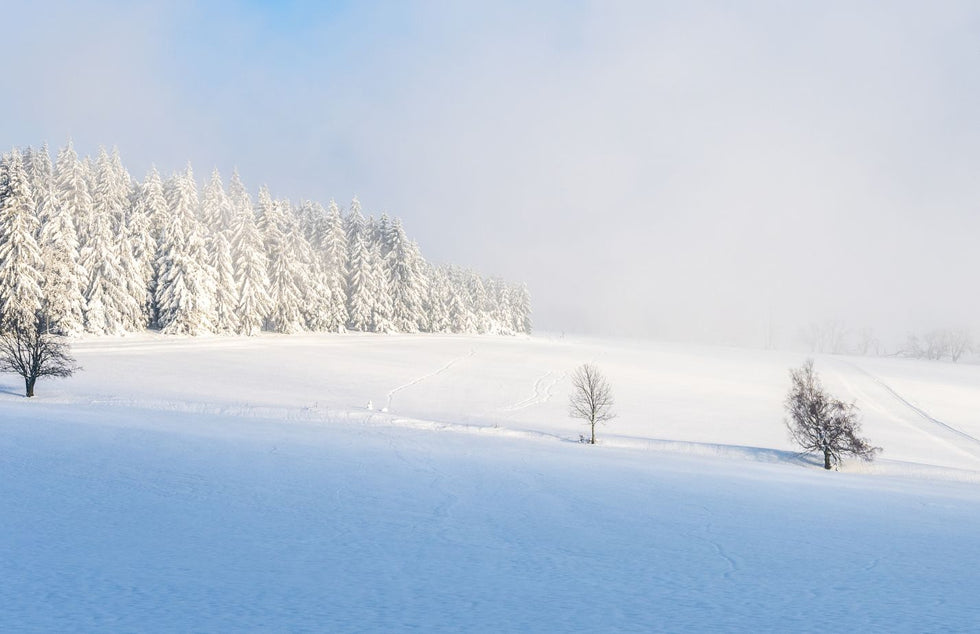 What is Garden Fleece and Why do I need it? Haxnicks