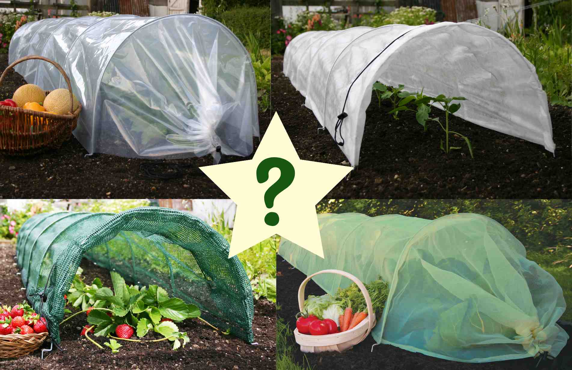 Do I need Plant Protection in my garden?