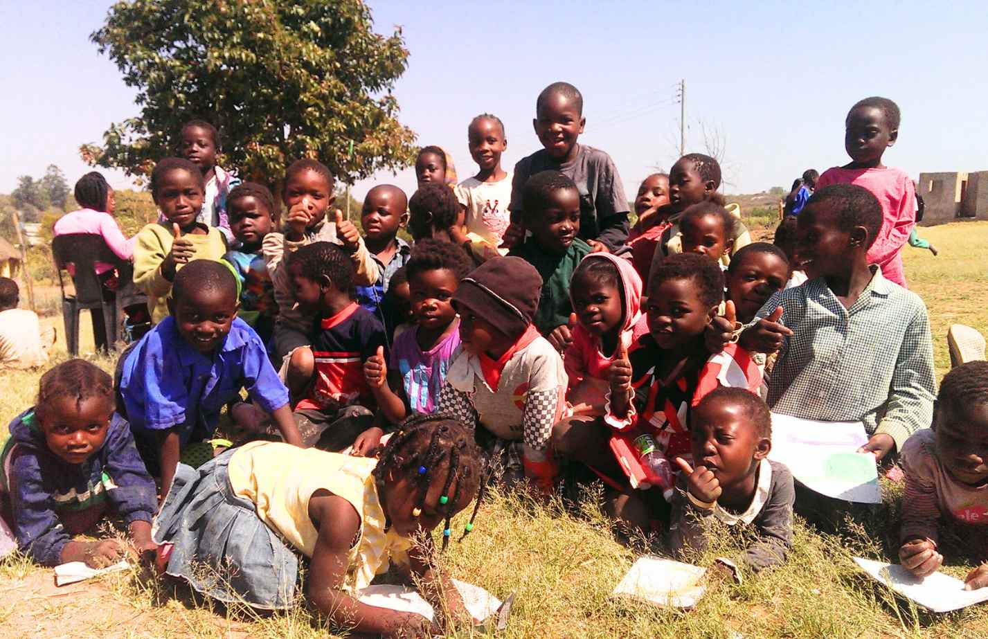 Introducing the Haxnicks Zambian Garden...