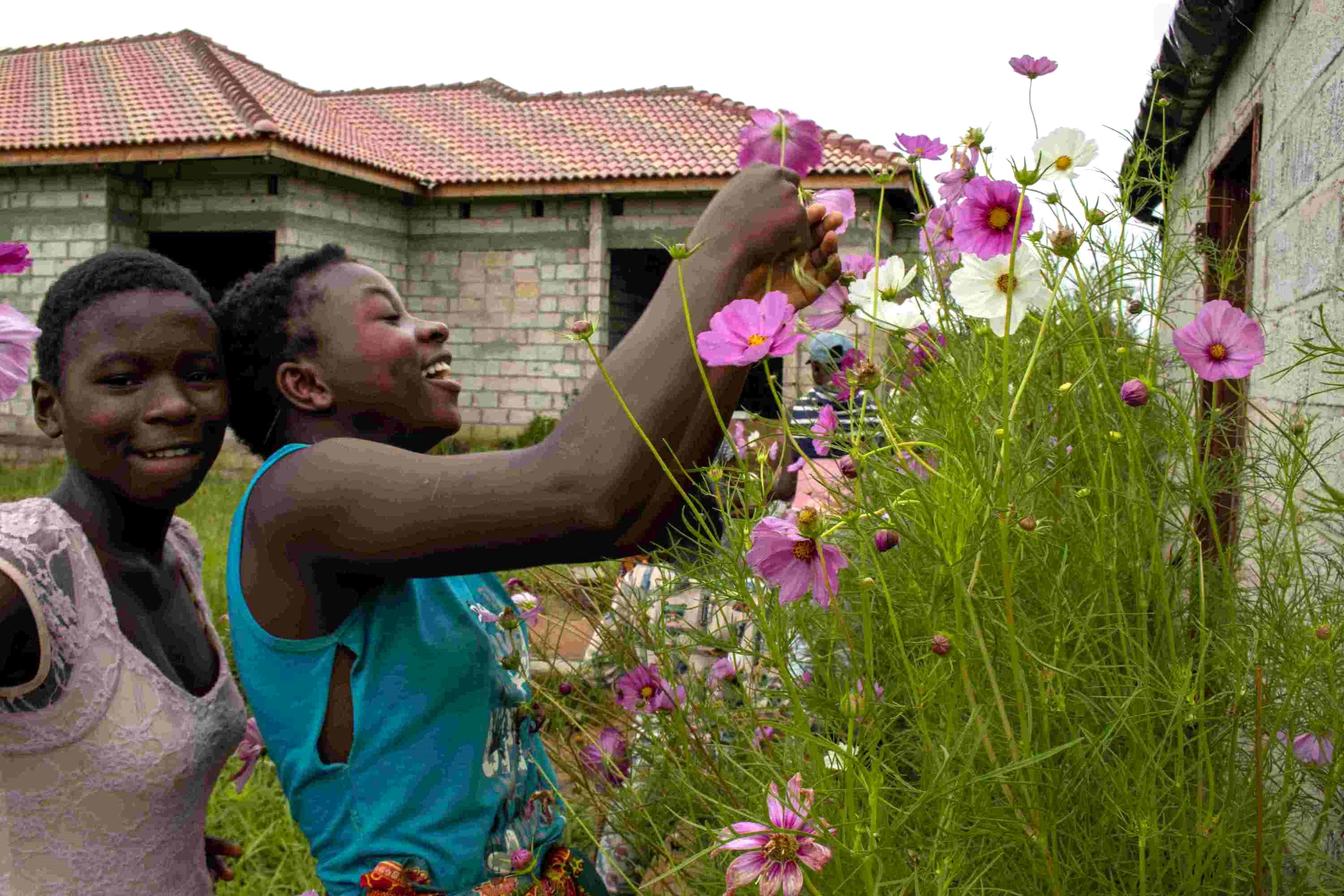 Sustainable Vegetable Gardening in Zambia