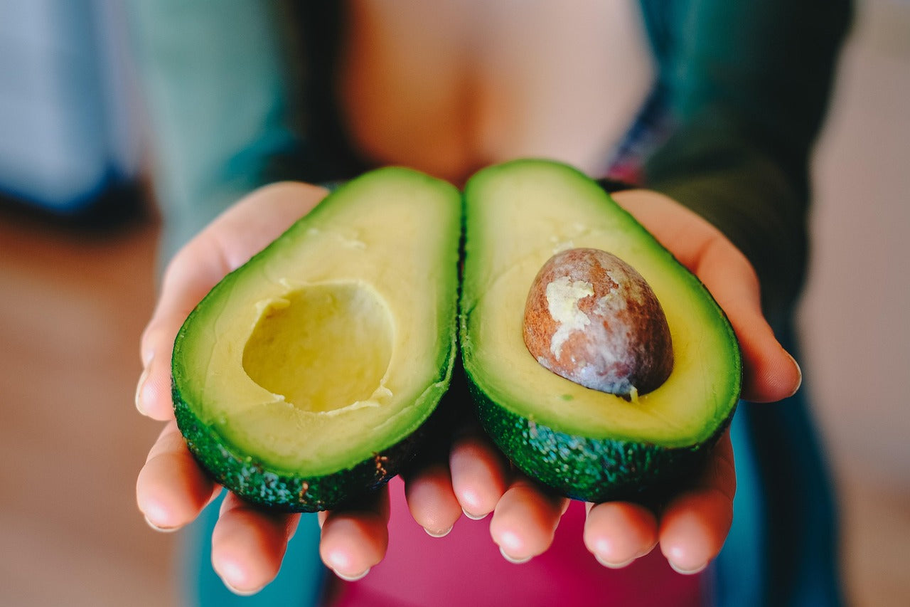 Avocados, how to grow a fantastic Avocado tree!