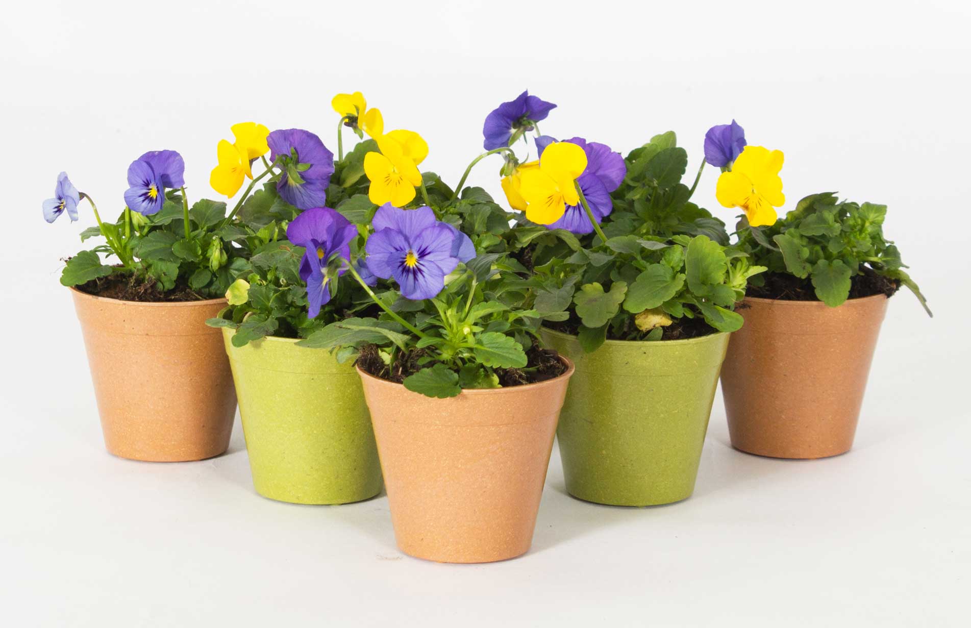 Haxnicks Sustainable bamboo range for environmentally friendly gardening 