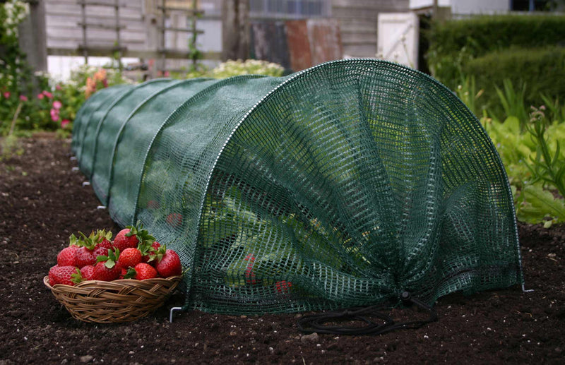 Haxnicks Giant Net Easy Tunnel protecting plants from wind and heavy rain 