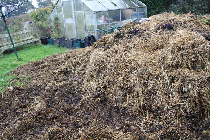 manure is best for gardening