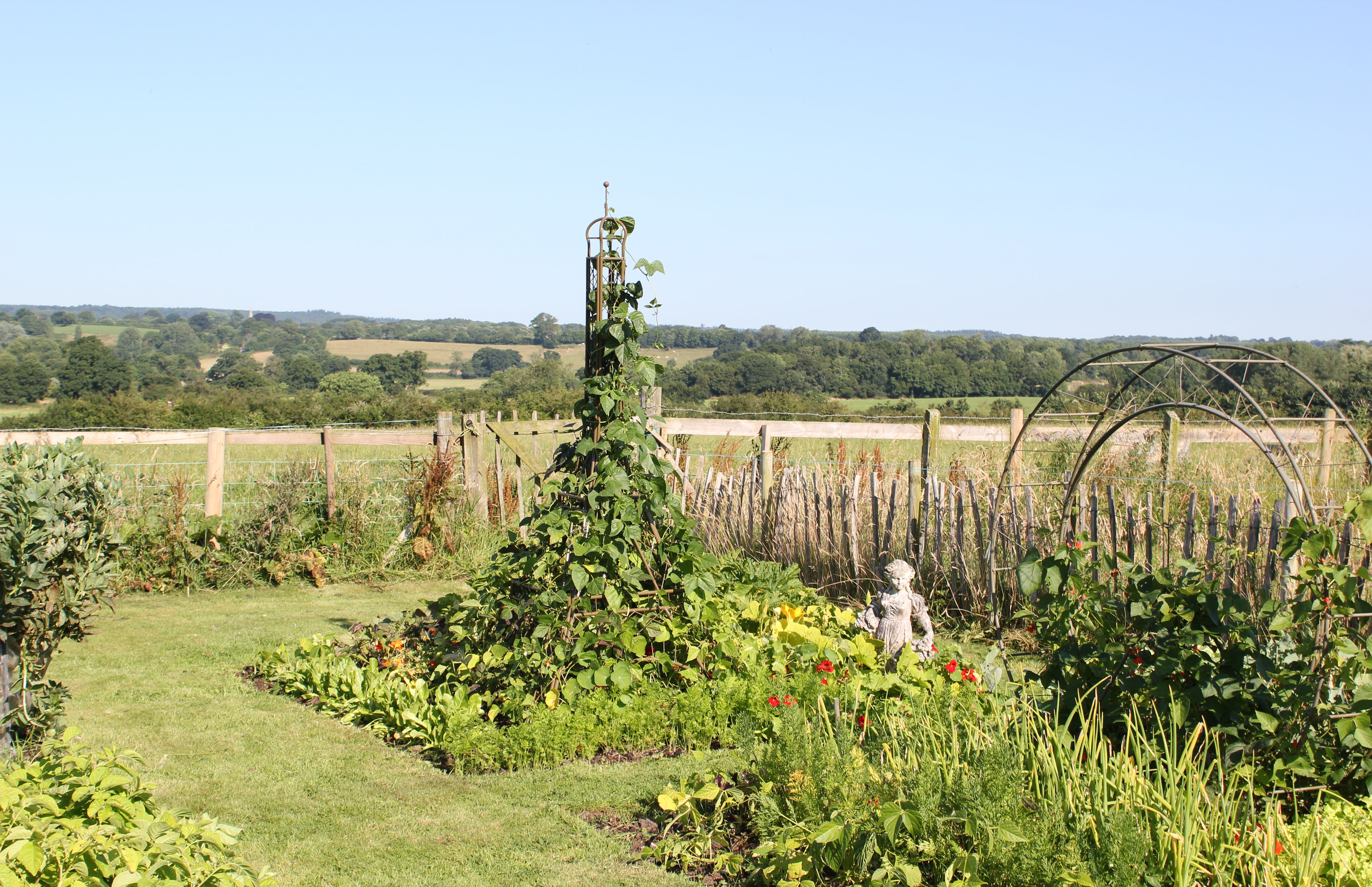 Product Bite: Eiffel Tower Plant Frame