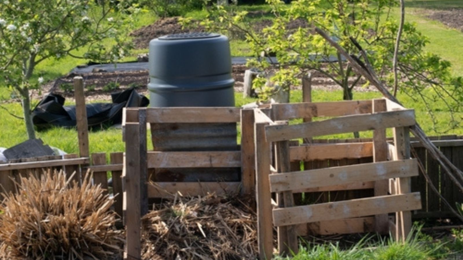 Water butt and compost bin made of pallets