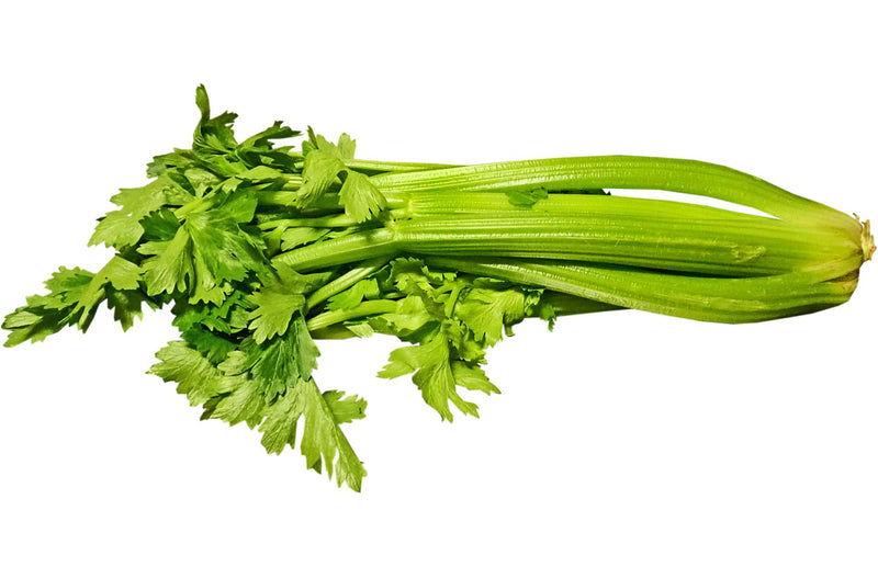 how to grow self blanching celery and trench celery