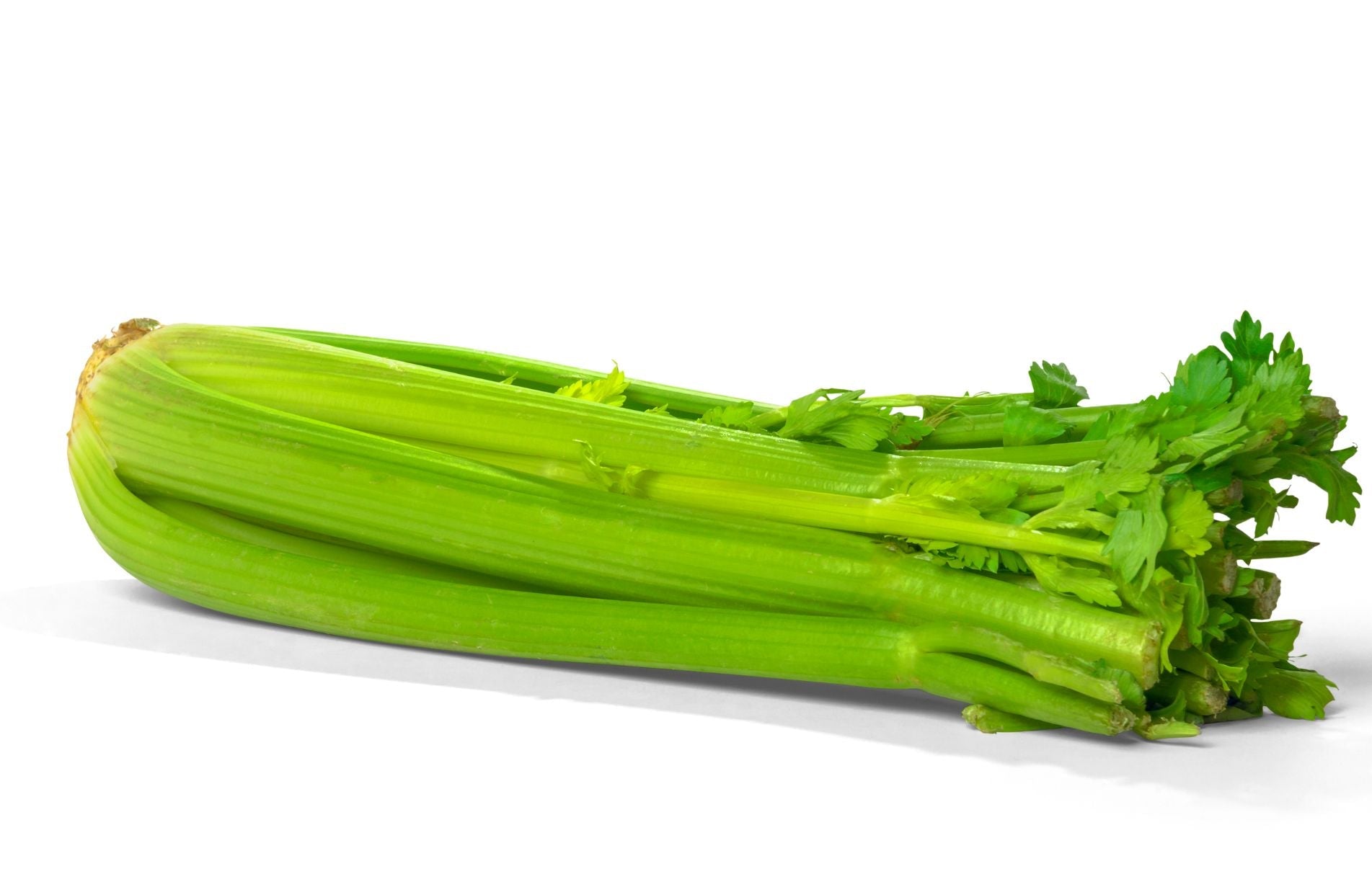 How to Grow Celery - self-blanching or trench: which to choose?