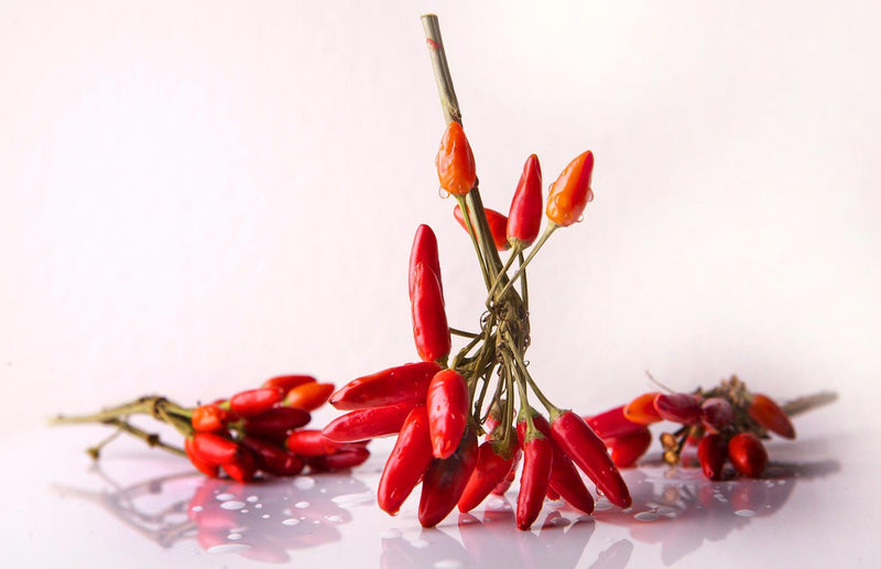 the best way to grow chillies 
