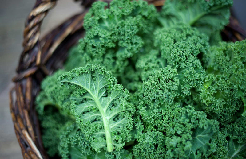 Grow at home how to grow Kale the best way