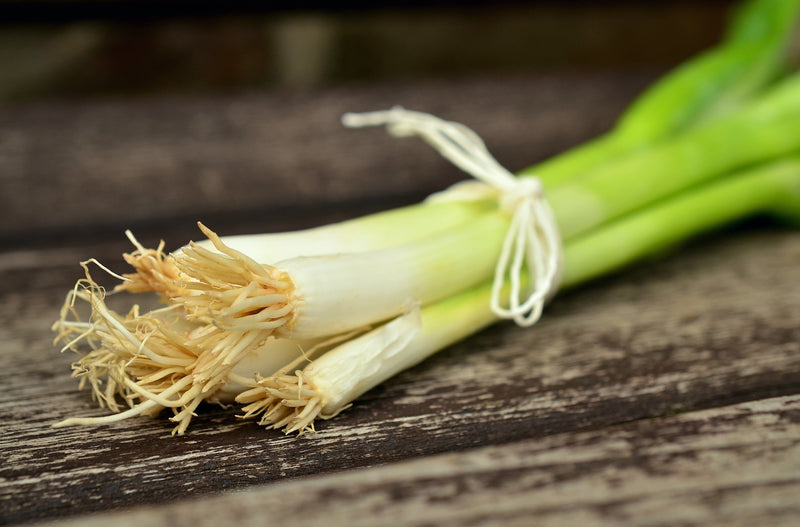 Haxnicks- how to grow spring onions or scallions- grow at home 