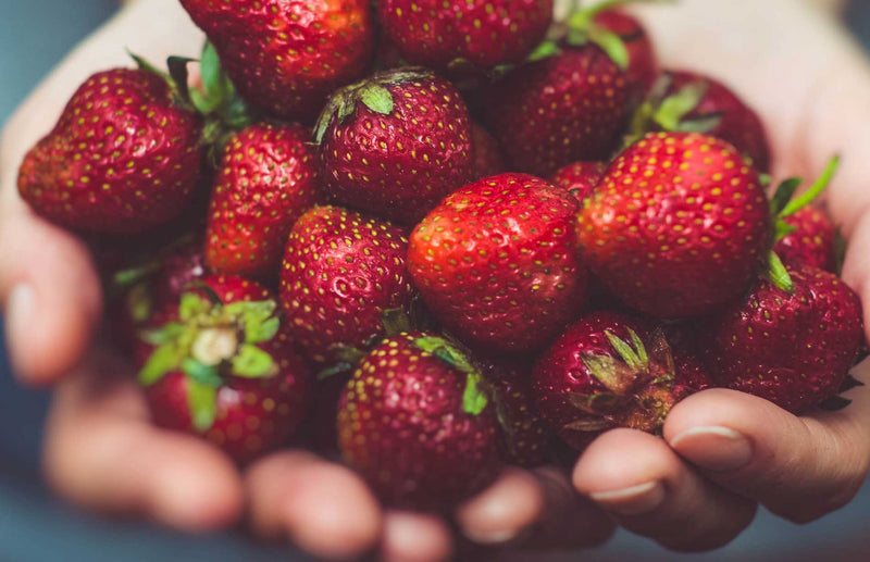 how to grow strawberries the best way