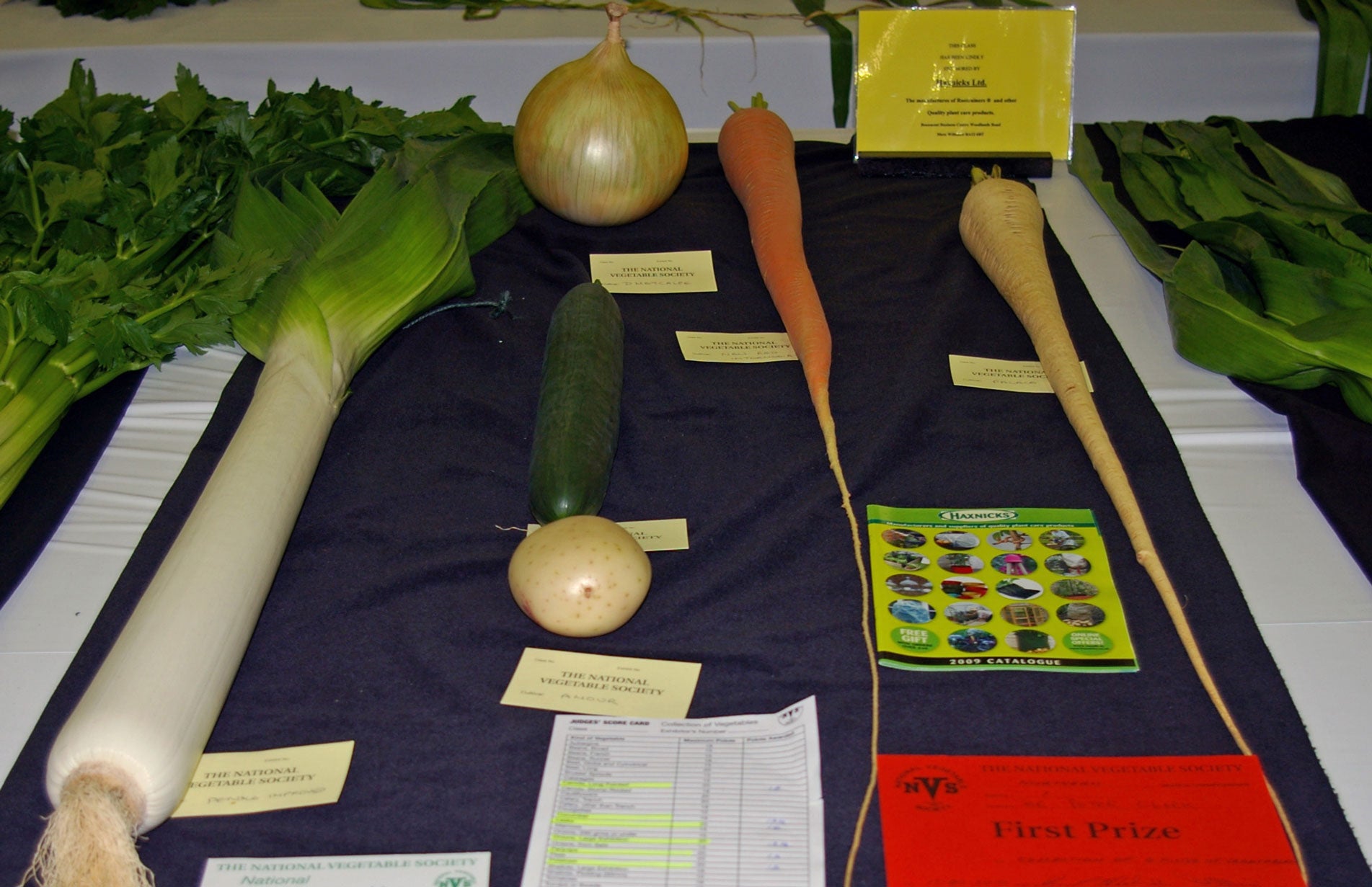 Winners of Haxnicks Schools Veg Growing Competition 