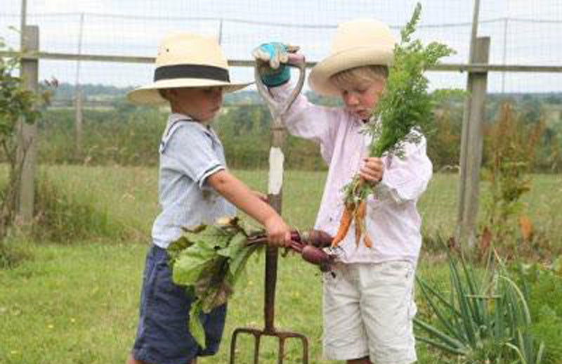 Haxnicks- kids gardening- how to get growing-basic gardening advice