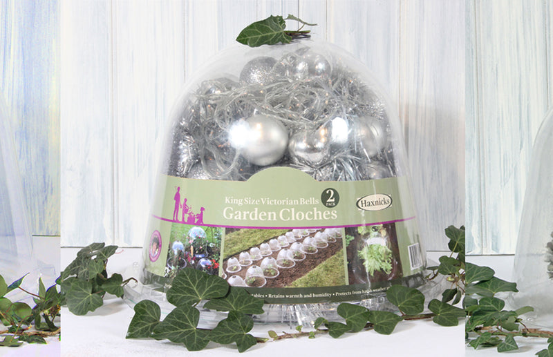 Bell closche as the ideal Christmas present for a gardener