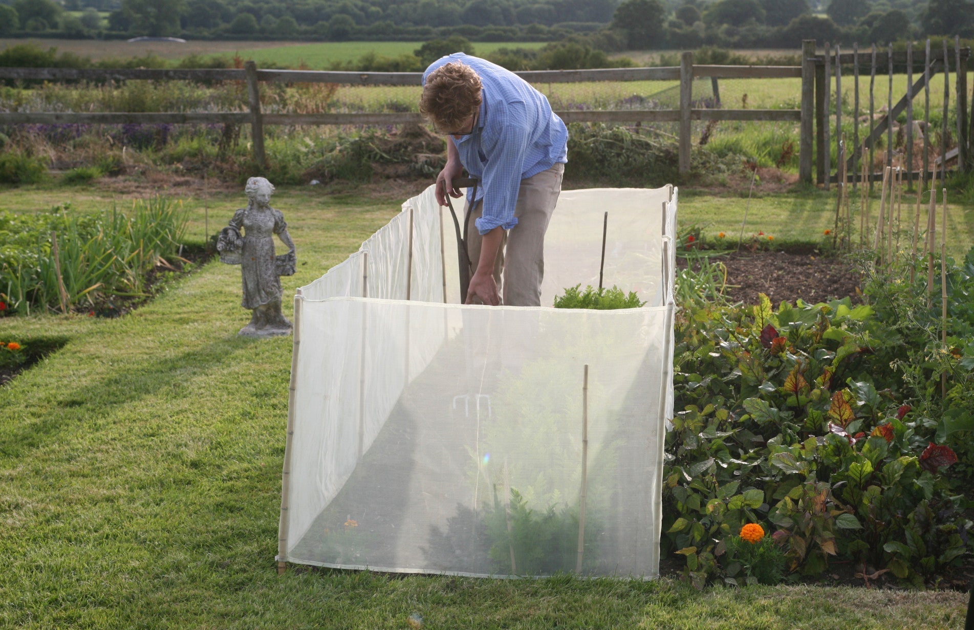 haxnicks- MicroMesh pest and wind barrier- plant protection- protective plant barrier-pest protection