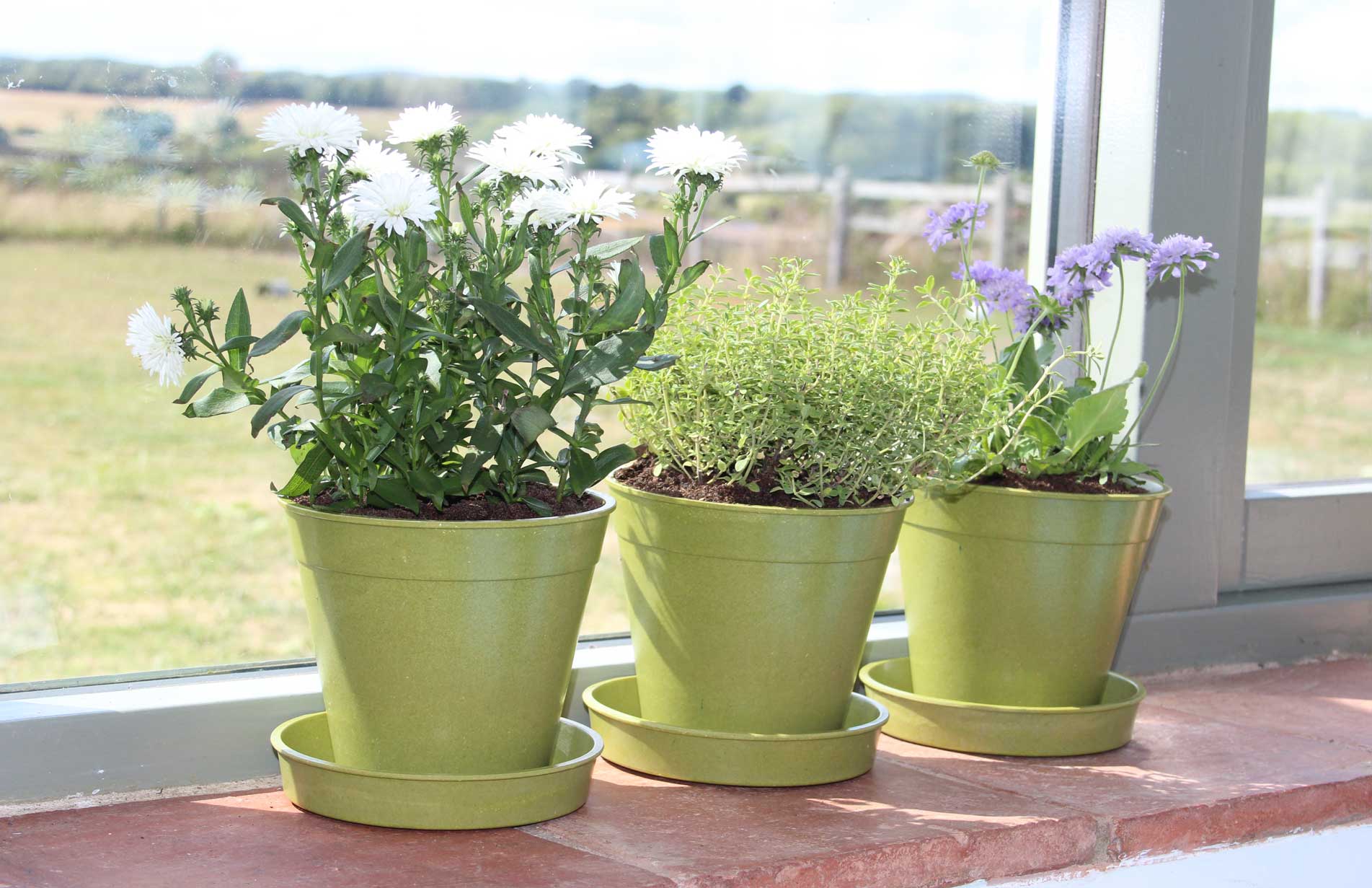 Haxnicks introduces more sustainable gardening tools to its range.