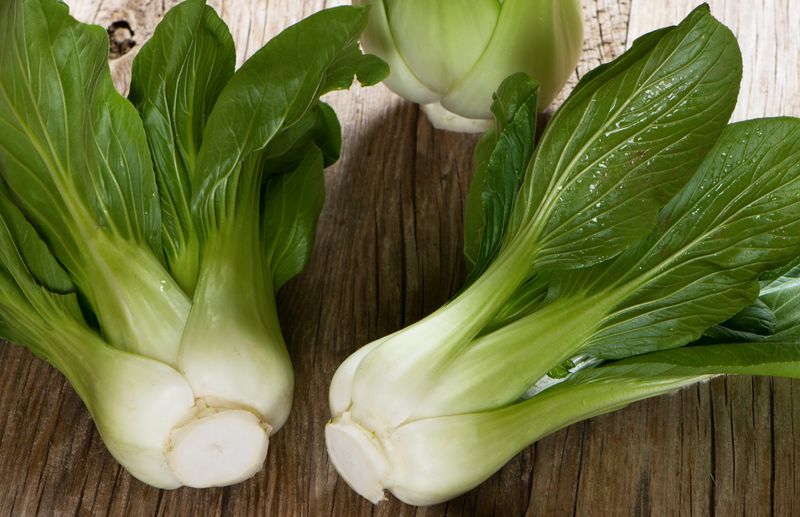 Step by step guide for growing pak choi in the ground