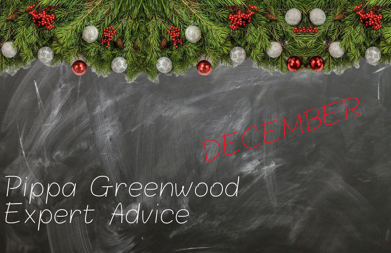 Haxnicks- Pippa Greenwood gardening tips for December- expert advice- gardening in December