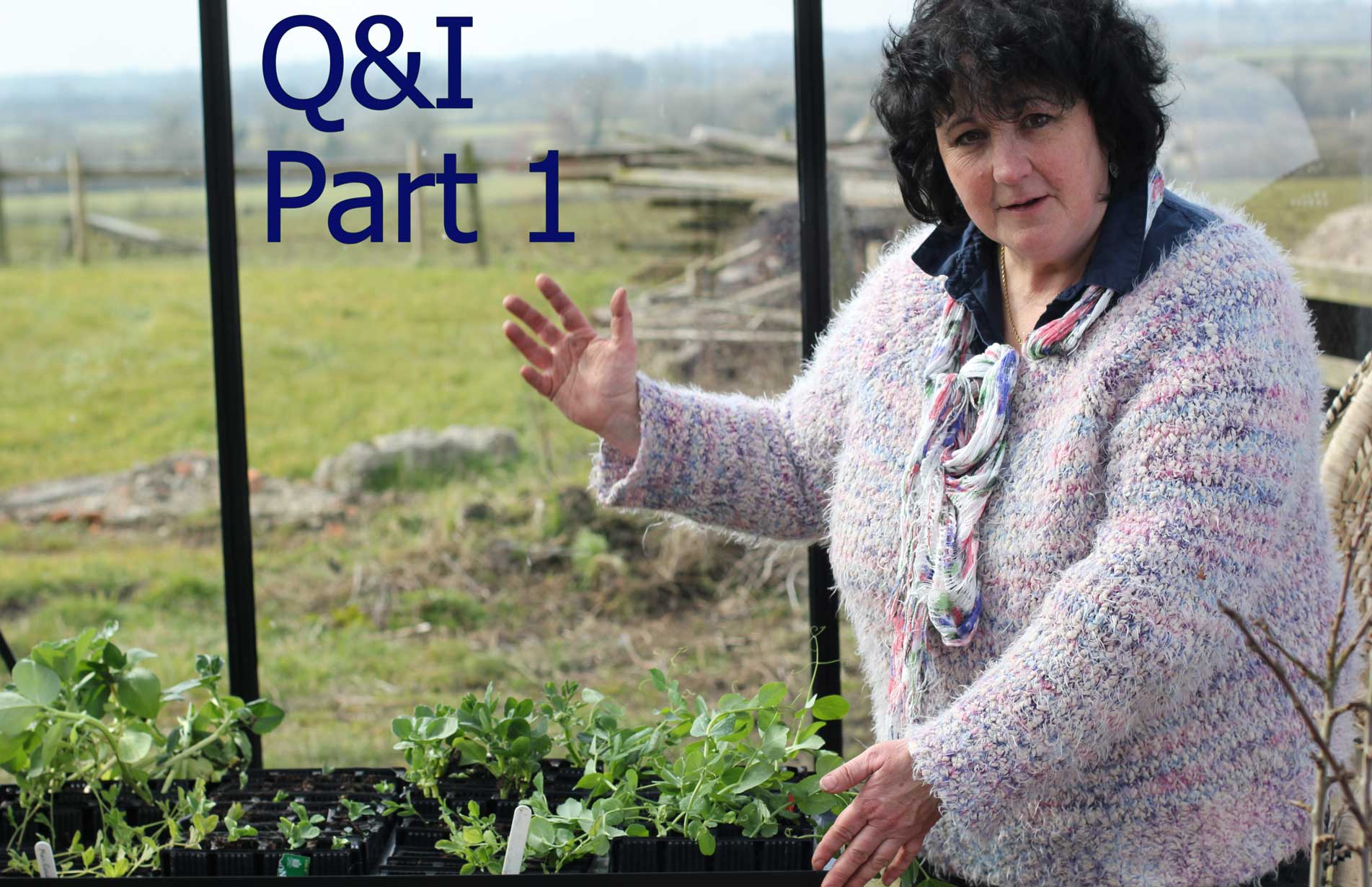 Pippa Greenwood - Q&A - Part I