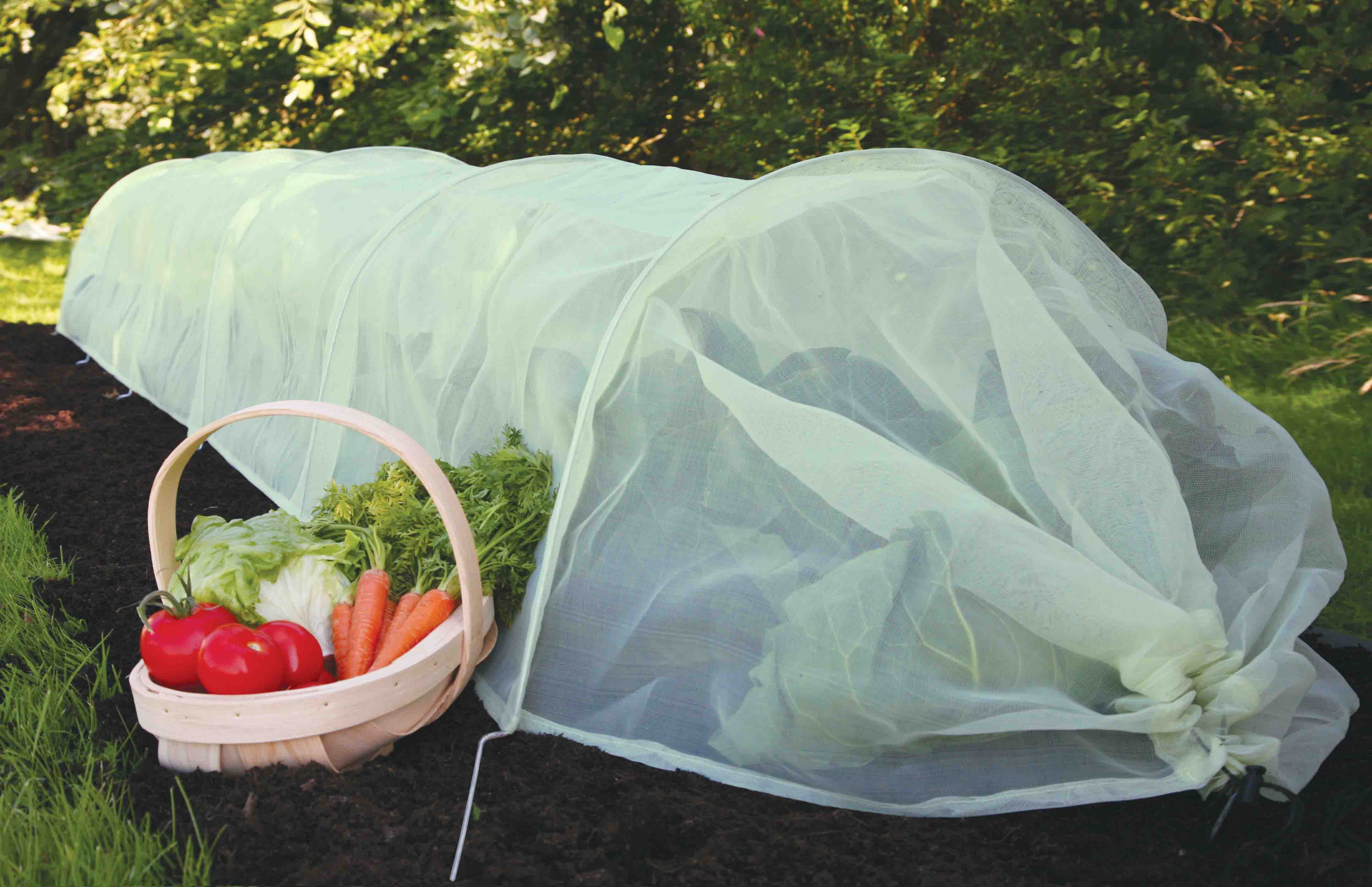 Product Bite: Easy Micromesh Tunnels perfect plant protection