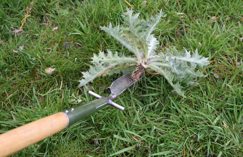 Haxnicks-speedweed- how to weed plants-easy plant weeding- manual plant weeder- fast weeding