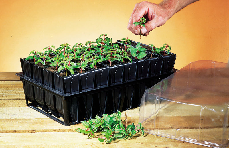 Haxnicks-deep-root-trainer-how-to-grow-straight-roots-seedling-planter-propogation