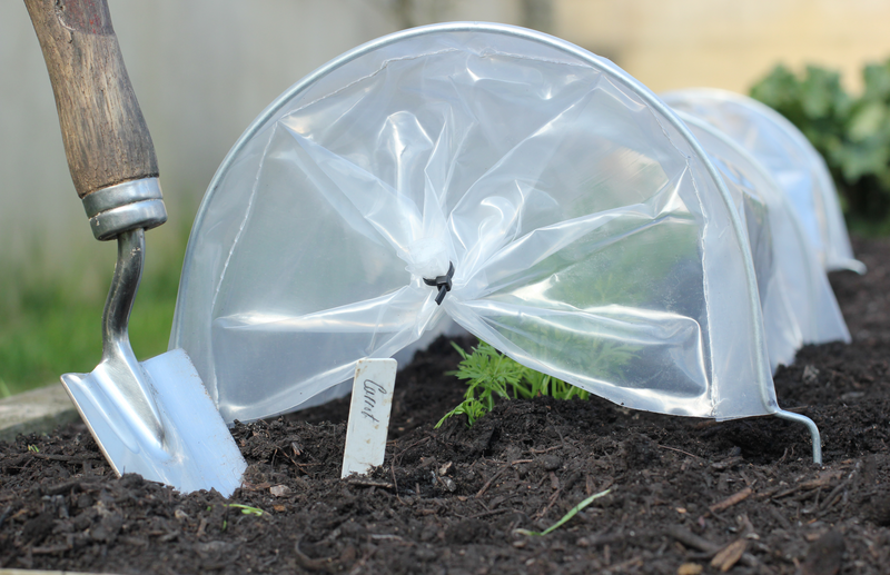 Haxnicks Easy seedling tunnel- how to grow seedlings- seedling protection- plant protection - propagation
