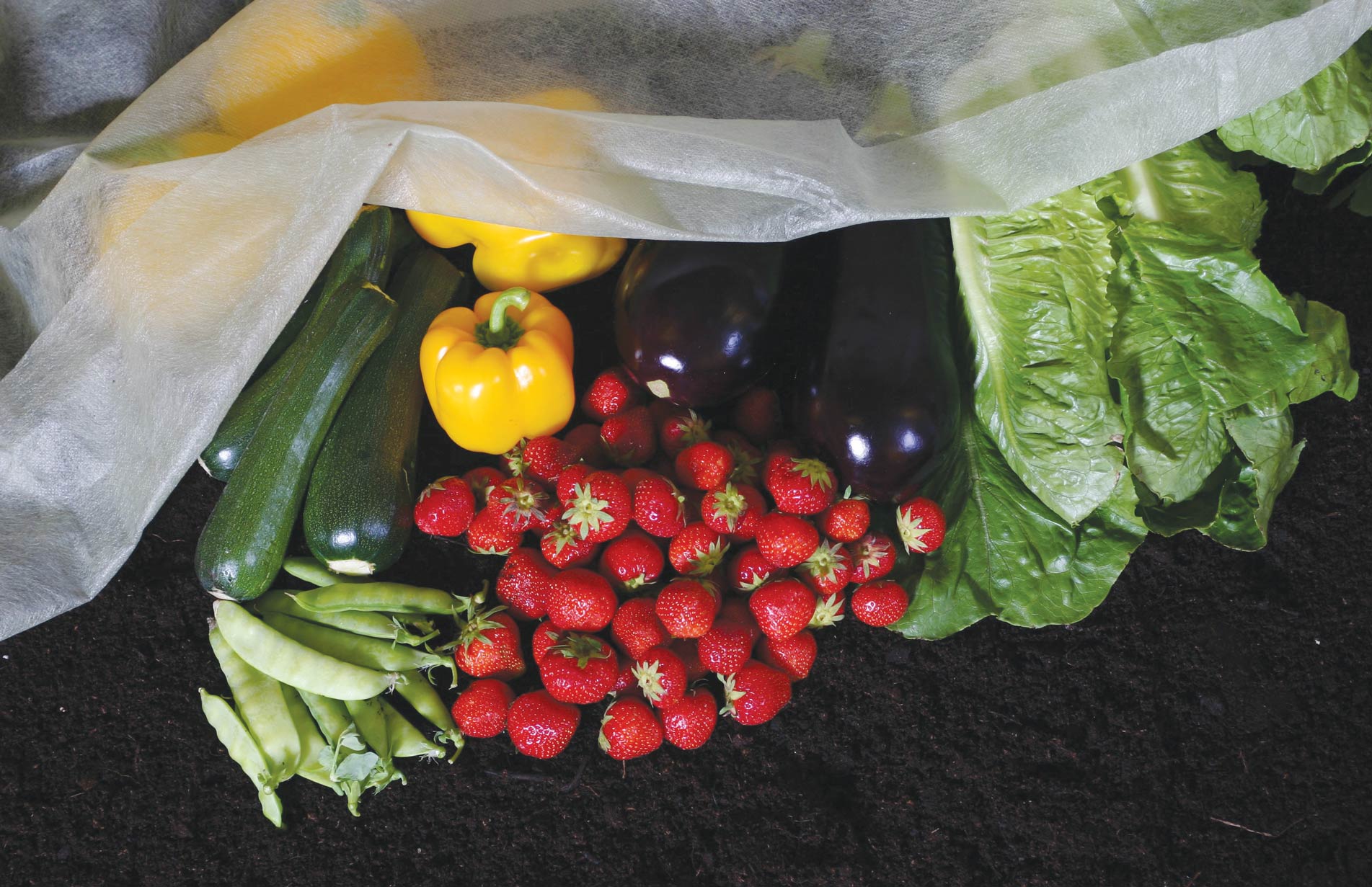 Haxnicks Extra Thick fleece blanket pest weather plant protection