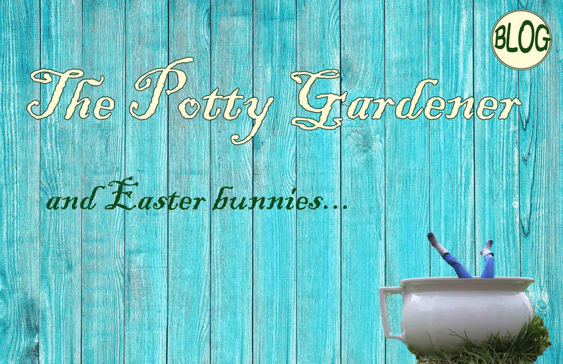 Potty gardener and how to protect plants from rabbits