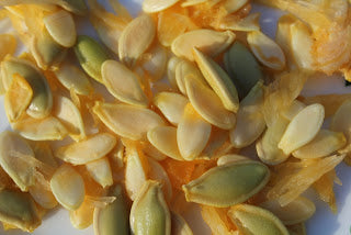 Haxnicks- pumpkin seed uses- pumpkin seed pile image