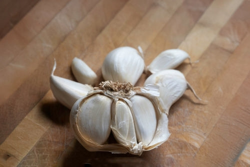 How to Grow Garlic