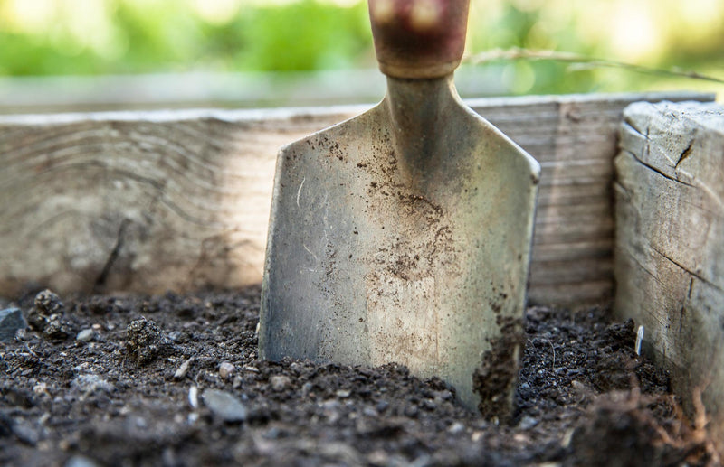 Haxnicks digging spade in the soil
