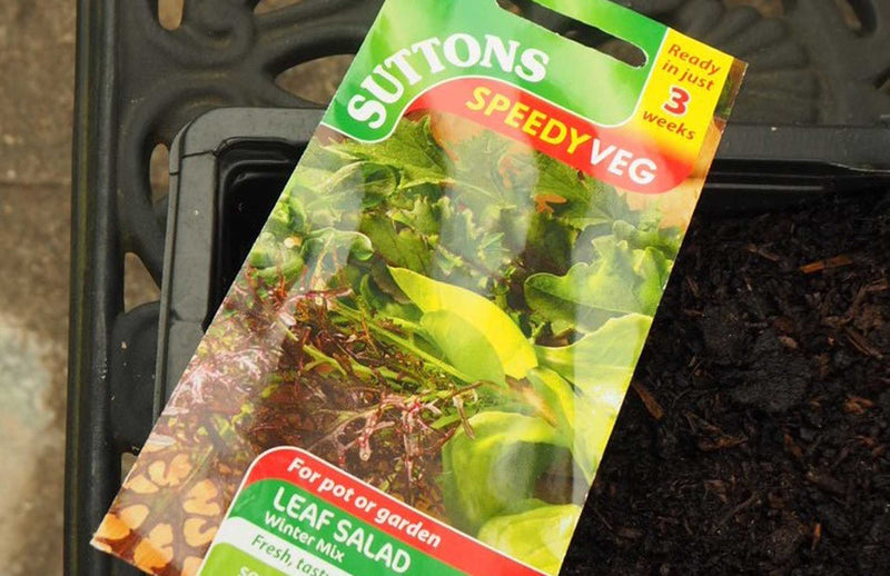 Haxnicks gardening tips and tricks seeds to plant in Spring