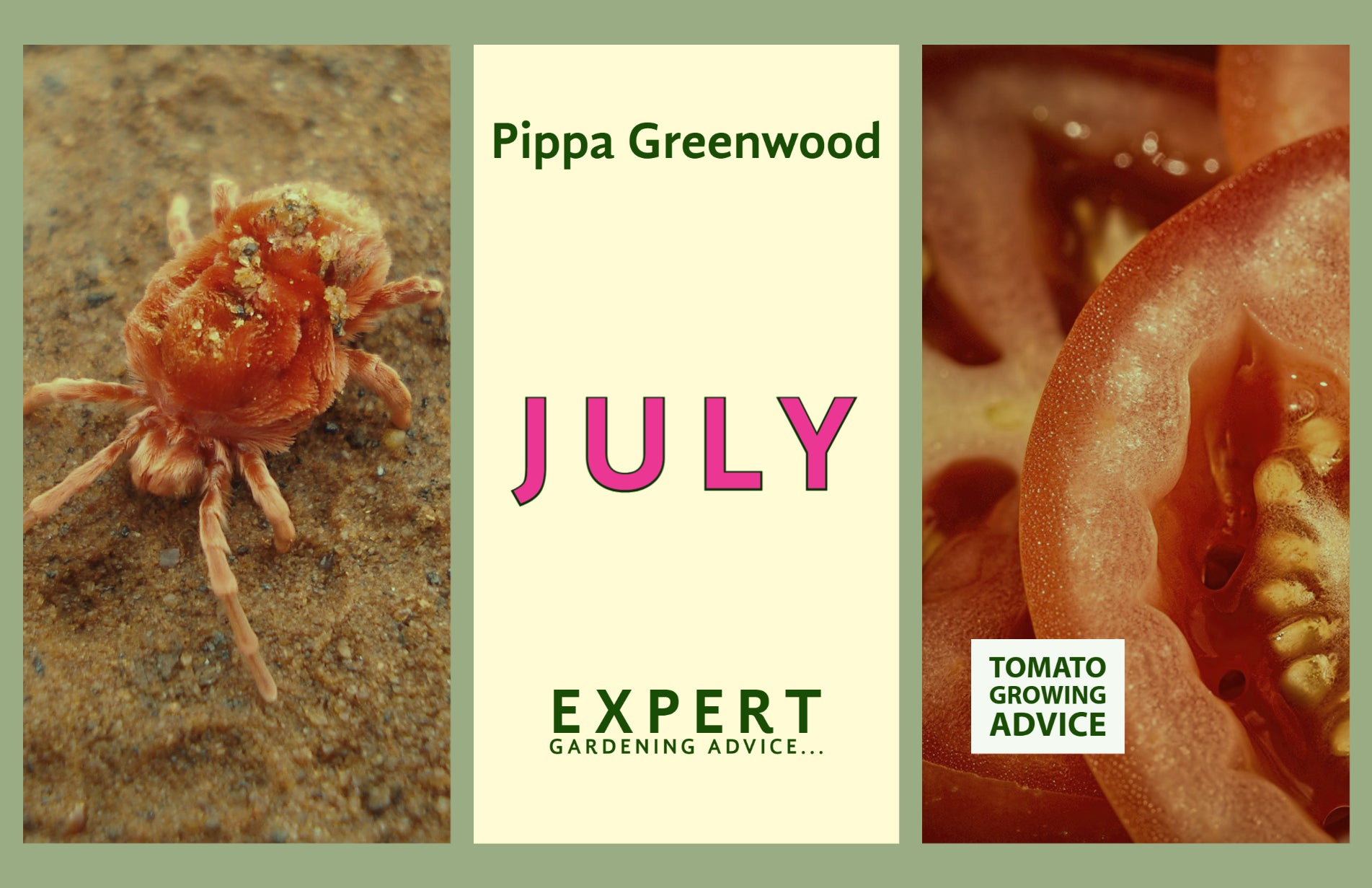 Pippa Greenwood Gardening advice for July