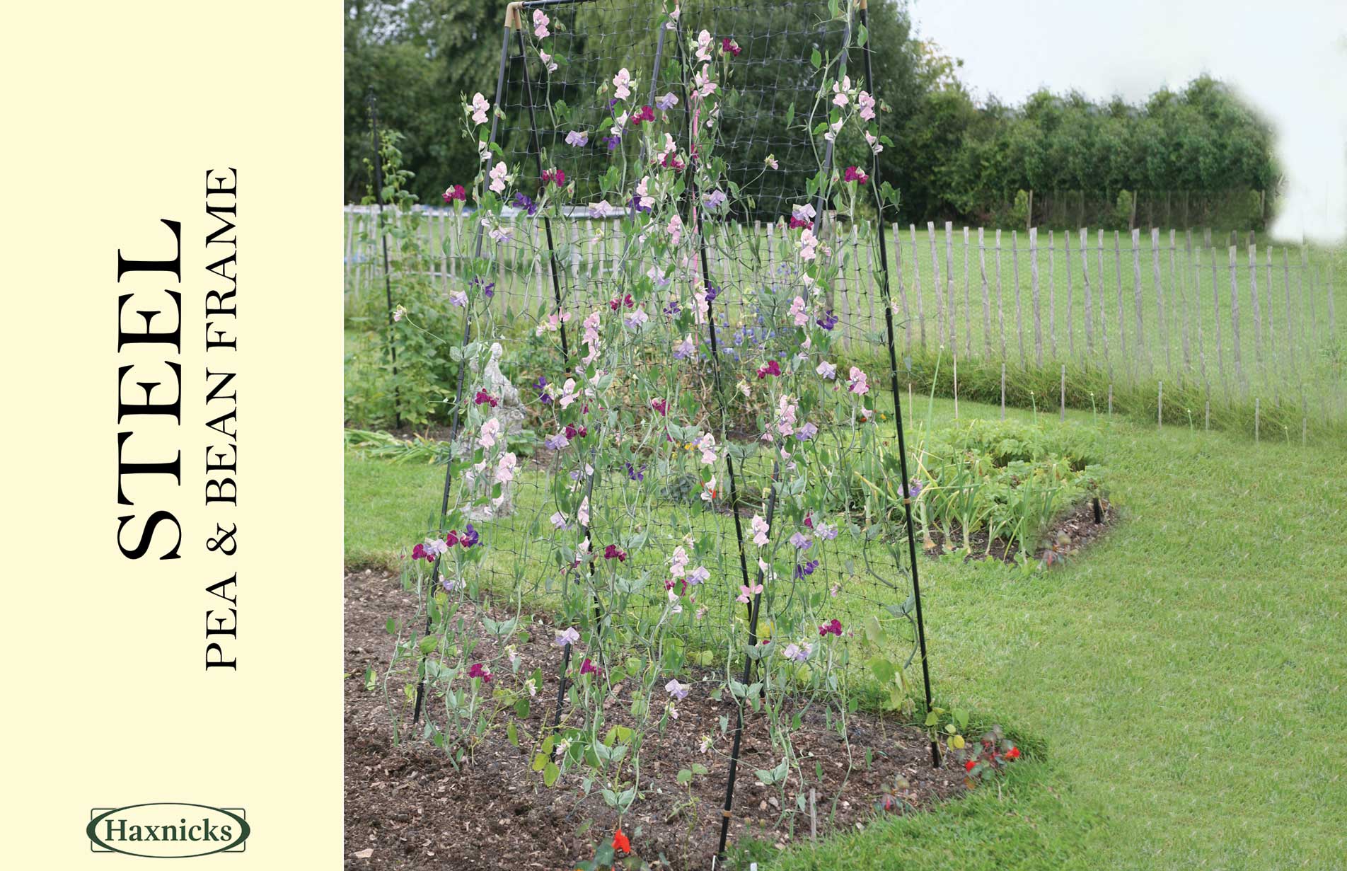 Haxnicks Steel Pea Bean Growing Frame 