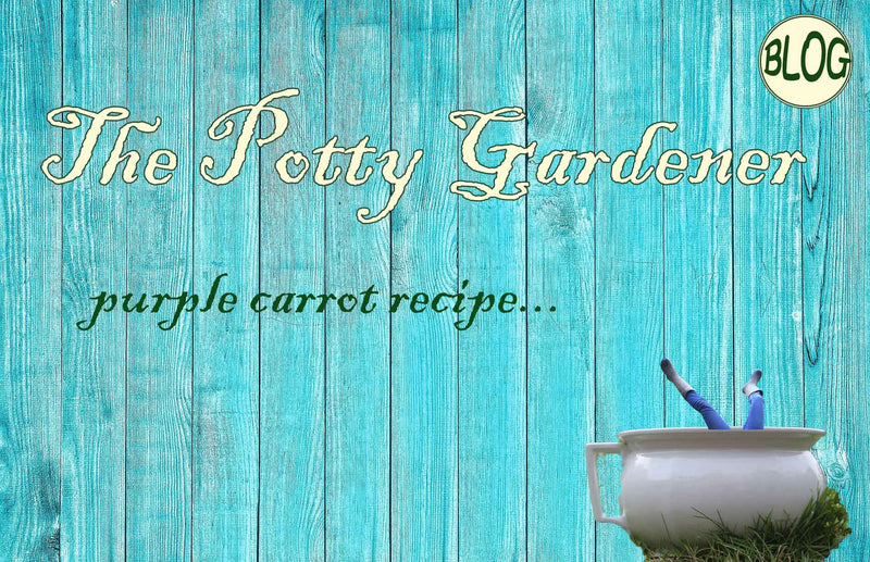 Blog about purple carrots from the potty gardener