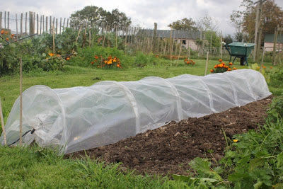 haxnicks- get the cloches out-october gardening- easy tunnel 